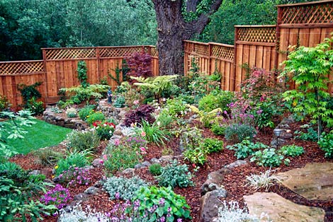 fence and hillside